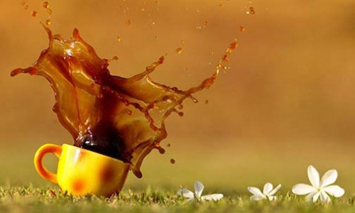Coffee Stain Grass
