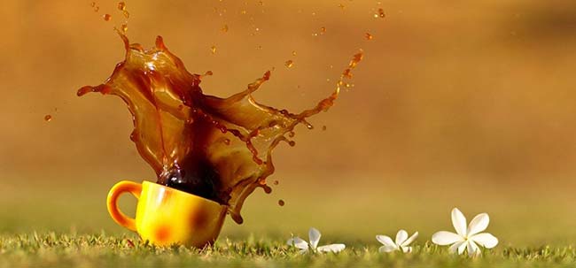 Coffee Stain on Grass