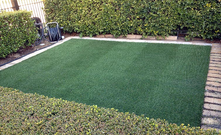 Fake Grass No Allergies