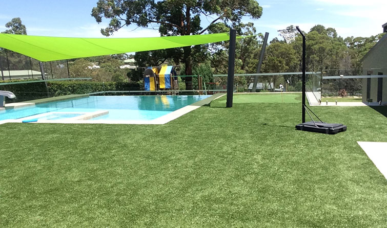 Large Backyard with Fake Lawn