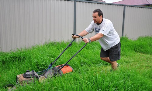 No Lawn Mowing