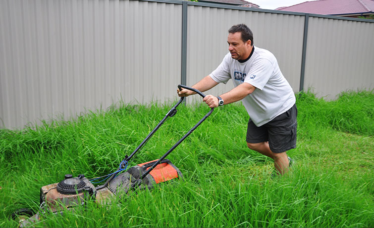 Lawn mower and discount whipper snipper