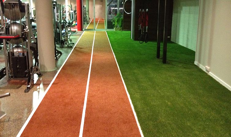 Synthetic Grass for Indoor Gym