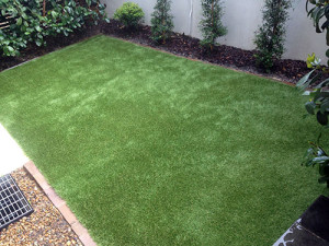 Very Small Backyard