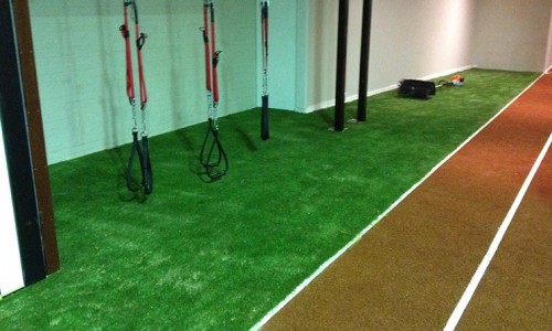 Artificial Grass Gym